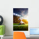 Soccer Player Action Panorama Wall Decal