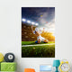 Soccer Player Action Panorama Wall Decal