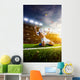 Soccer Player Action Panorama Wall Decal