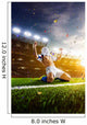 Soccer Player Action Panorama Wall Decal