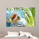 Holiday Dog Wall Decal