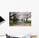 Cherry Tree Roadside Trees Wall Decal