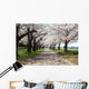 Cherry Tree Roadside Trees Wall Decal