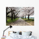 Cherry Tree Roadside Trees Wall Decal