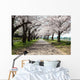 Cherry Tree Roadside Trees Wall Decal
