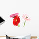 Gerbera Daisy White Wall Decal