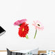 Gerbera Daisy White Wall Decal