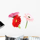 Gerbera Daisy White Wall Decal