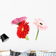 Gerbera Daisy White Wall Decal