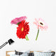 Gerbera Daisy White Wall Decal
