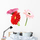 Gerbera Daisy White Wall Decal