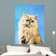 Oil Painting Drawing Cat Wall Decal