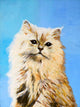 Oil Painting Drawing Cat Wall Decal