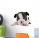 Puppy French Bulldog Wall Decal