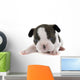 Puppy French Bulldog Wall Decal