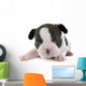 Puppy French Bulldog Wall Decal