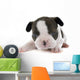 Puppy French Bulldog Wall Decal