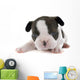 Puppy French Bulldog Wall Decal