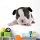 Puppy French Bulldog Wall Decal