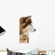 Alaskan Malamute Snow Wall Decal
