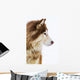 Alaskan Malamute Snow Wall Decal