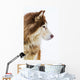 Alaskan Malamute Snow Wall Decal