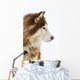 Alaskan Malamute Snow Wall Decal