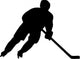 Hockey Player Wall Decal