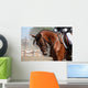 Portrait Sport Brown Horse Wall Decal