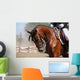 Portrait Sport Brown Horse Wall Decal