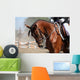 Portrait Sport Brown Horse Wall Decal