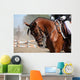 Portrait Sport Brown Horse Wall Decal