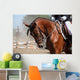 Portrait Sport Brown Horse Wall Decal