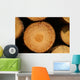 Pine Wood Wall Decal