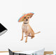Cute Chihuahua Dog Wearing Wall Decal