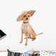Cute Chihuahua Dog Wearing Wall Decal
