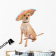 Cute Chihuahua Dog Wearing Wall Decal