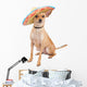 Cute Chihuahua Dog Wearing Wall Decal