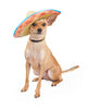 Cute Chihuahua Dog Wearing Wall Decal