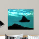 Stingray Wall Decal