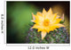 Cactus Flower Wall Decal