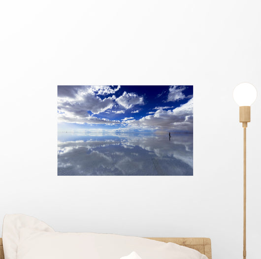 Bolivian Salt Lake Wall Decal