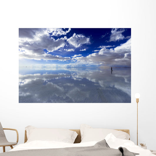 Bolivian Salt Lake Wall Decal