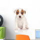 Jack Russell Terrier Pon Wall Decal