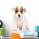 Jack Russell Terrier Pon Wall Decal