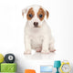 Jack Russell Terrier Pon Wall Decal