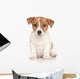 Jack Russell Terrier White Wall Decal