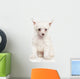 Portrait Chinese Crested Puppy Wall Decal