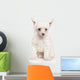Portrait Chinese Crested Puppy Wall Decal