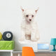 Portrait Chinese Crested Puppy Wall Decal